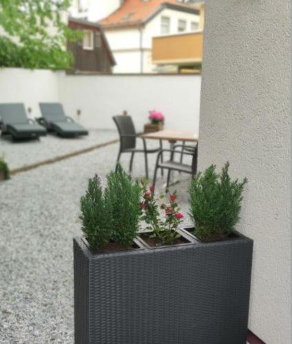 Regiohotel Germania Am Kurpark Bad Harzburg Exterior foto